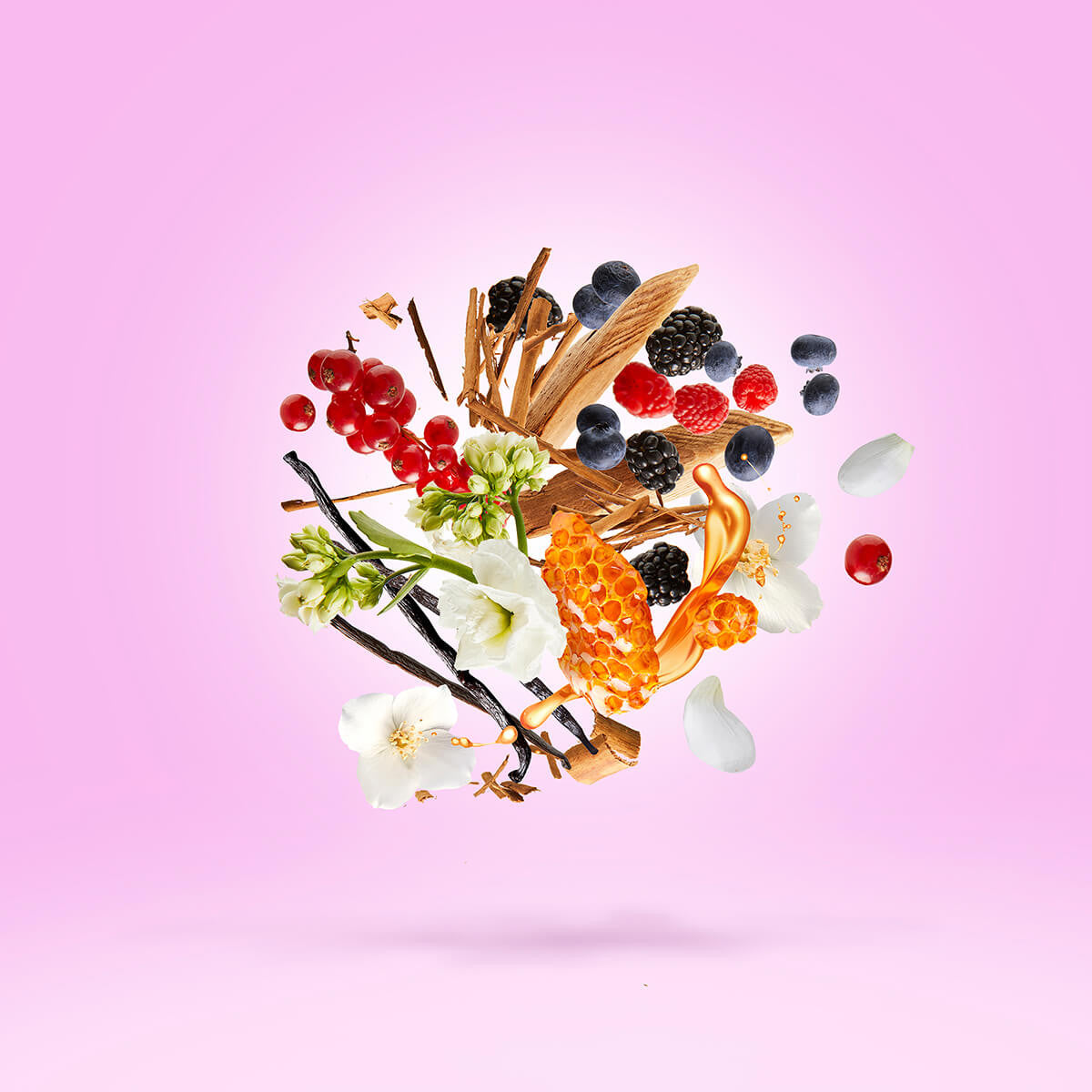 Gran Ballo Hairspray